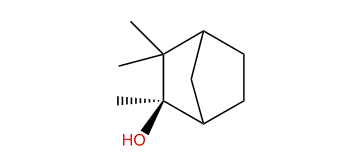 Dihydrocamphene carbinol